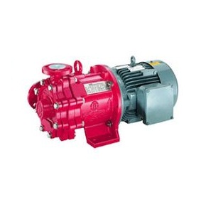 Bơm khởi động từ bọc PTFE - Magnetic Drive Pumps